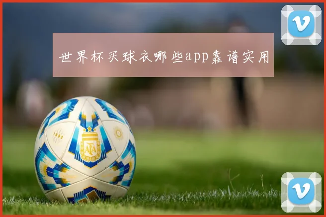 世界杯买球衣哪些app靠谱实用