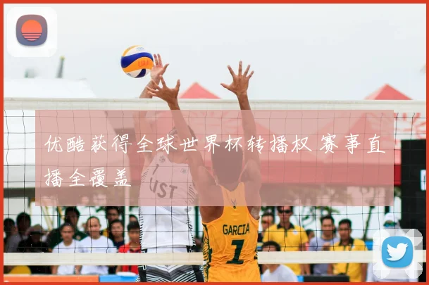 优酷获得全球世界杯转播权 赛事直播全覆盖