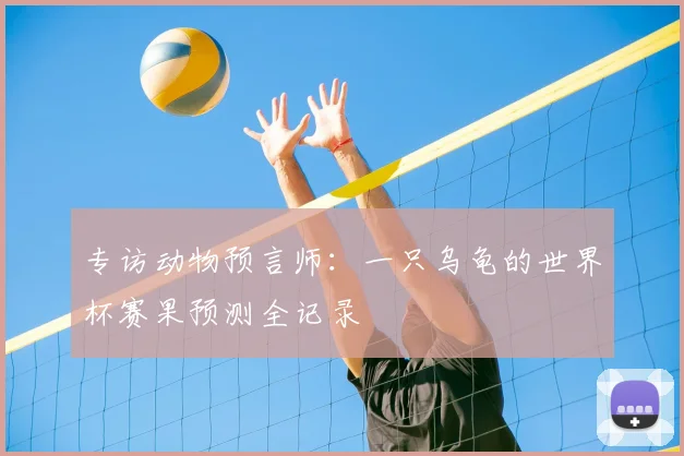 专访动物预言师:一只乌龟的世界杯赛果预测全记录