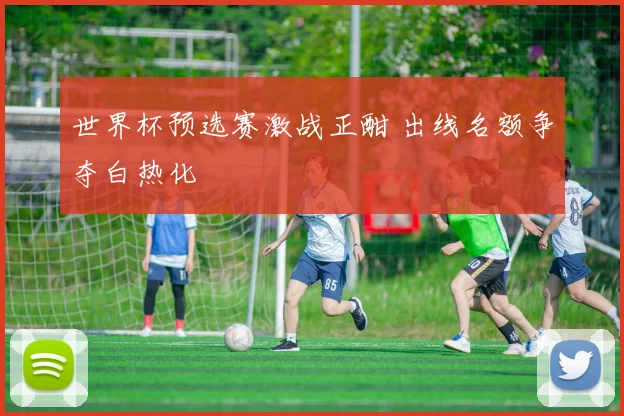 世界杯预选赛激战正酣 出线名额争夺白热化