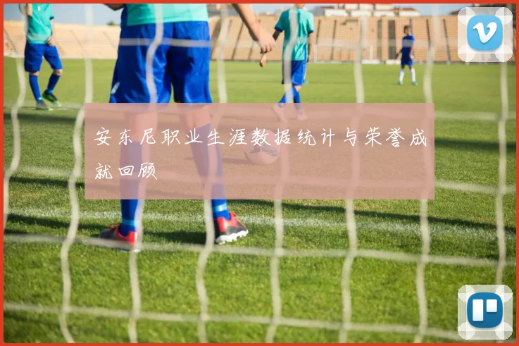 安东尼职业生涯数据统计与荣誉成就回顾