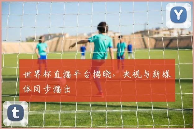 世界杯直播平台揭晓，央视与新媒体同步播出