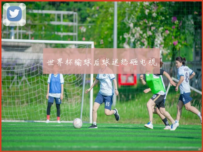 世界杯输球后球迷怒砸电视