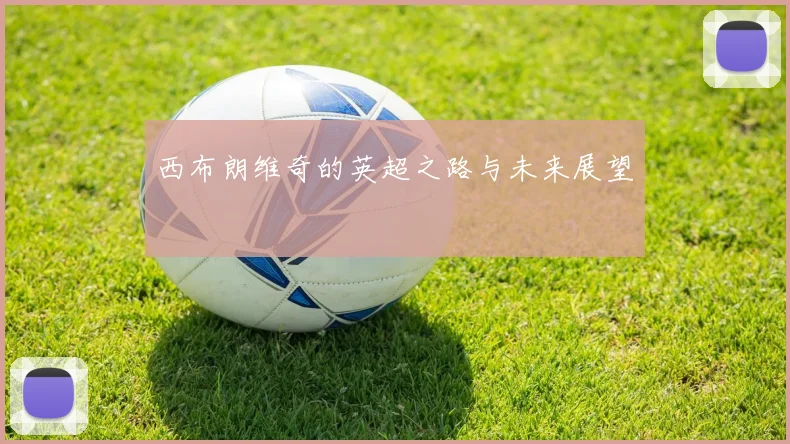 西布朗维奇的英超之路与未来展望