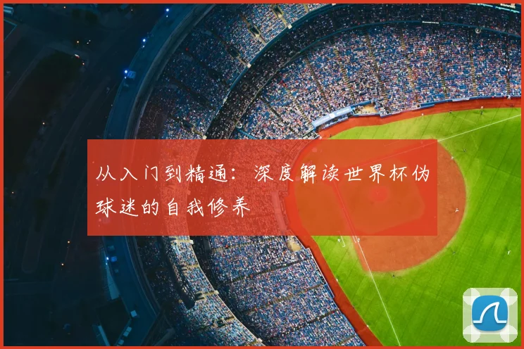 从入门到精通：深度解读世界杯伪球迷的自我修养