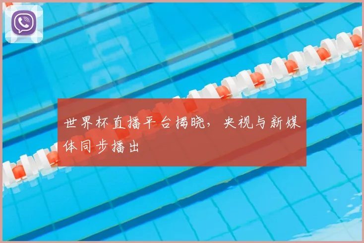 世界杯直播平台揭晓,央视与新媒体同步播出