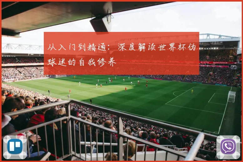 从入门到精通:深度解读世界杯伪球迷的自我修养