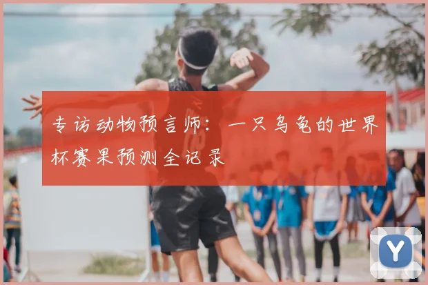 专访动物预言师：一只乌龟的世界杯赛果预测全记录