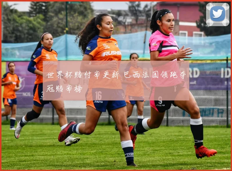 世界杯赔付率更新 巴西法国领跑夺冠赔率榜