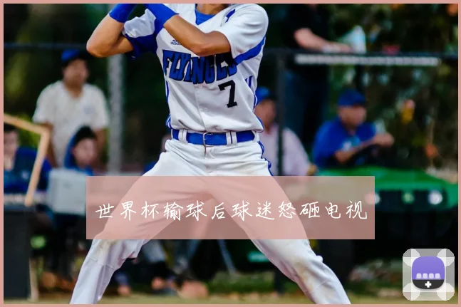 世界杯输球后球迷怒砸电视