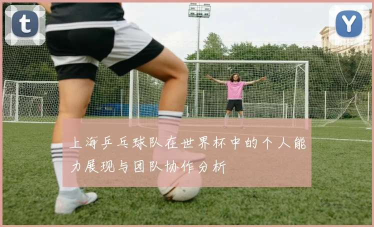 上海乒乓球队在世界杯中的个人能力展现与团队协作分析